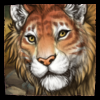 Tigon Eyeliner